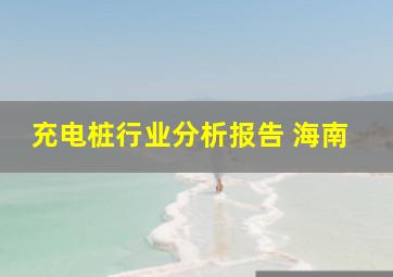 充电桩行业分析报告 海南